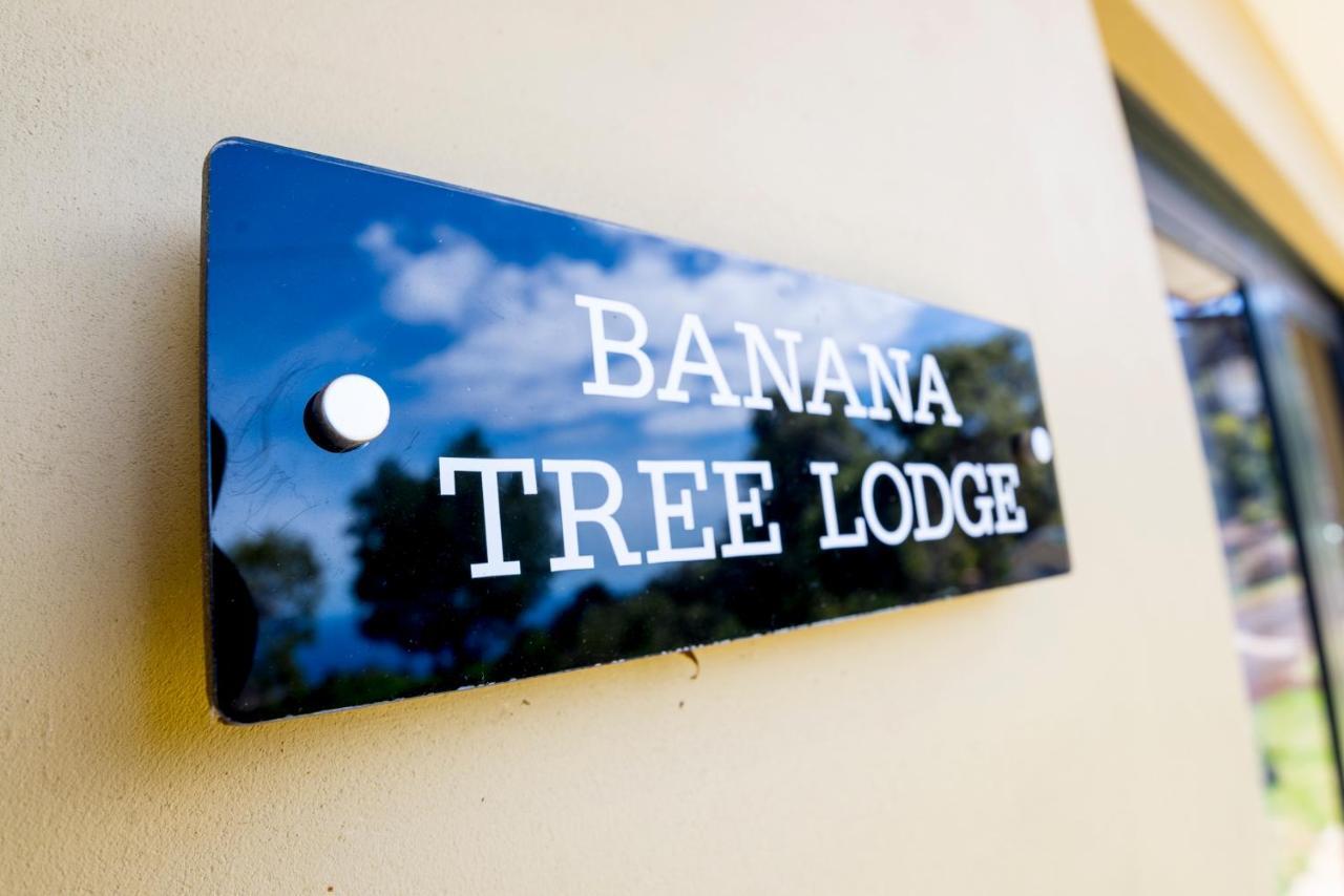 Banana Tree Lodge 제임스타운 외부 사진